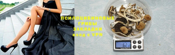 МДПВ Алзамай